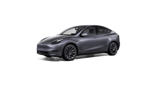 Model Y [2020 - 2024]